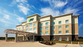  Holiday Inn Express and Suites Bossier City Louisiana Downs, an IHG Hotel  Бошьер Сити